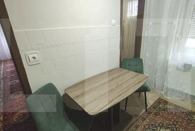 Apartament cu 2 camere decomandat în Șega - 8