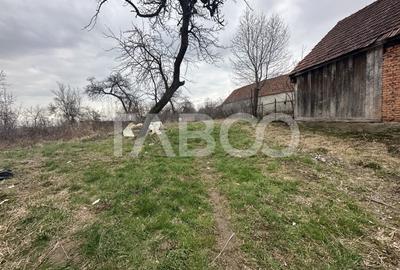 Casa de vanzare 4 camere 125 mpu teren liber 923 mp anexa Comuna Lisa - 3