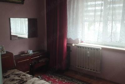 Apartament cu 2 camere semidecomandat în Prundu - 6