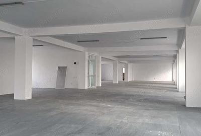 Berceni - Soseaua Giurgiului, spatiu 600 mp - 4