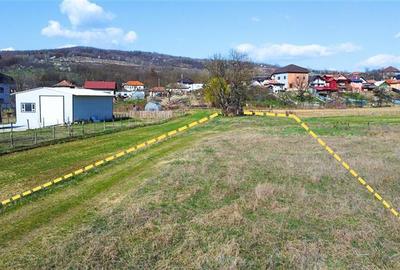 BUDESTI - TEREN 2550 MP - 10