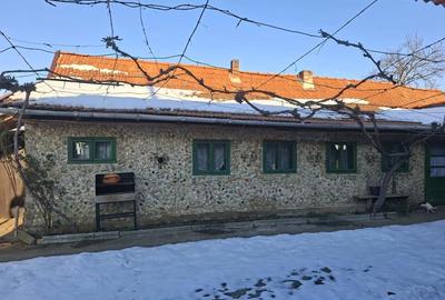 Casă cu 3 camere cu Teren 3404 Mp în Răchita - 4