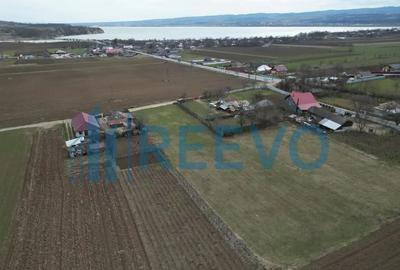 Teren de 4000 mp, în Bazga - 1