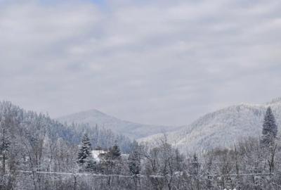 Teren de 22600 mp, în Sucevița - 8