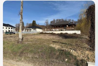 Spațiu comercial, în Vlădești - 6