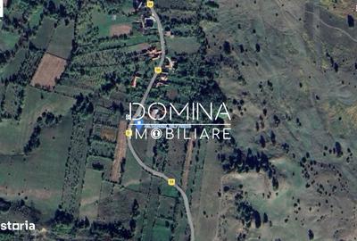 Spațiu comercial, în Baia de Fier - 4