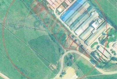 Teren Construcții intravilan de 11533 mp, în Merișor - 4