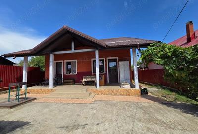 Casă cu 6 camere cu Teren 2000 Mp în Săvinești - 3