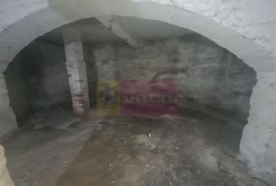 Casa de vanzare in Campina (spatiu comercial) - Zona Lidl - 14