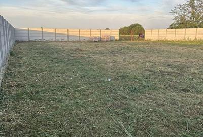 Spațiu comercial, în Dimieni - 7