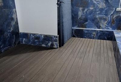 Gara de Nord, Stirbei Voda, Piata Victoriei, Romana, Cotroceni - 12