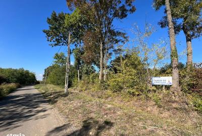 Spațiu comercial, în Viile Satu Mare - 3