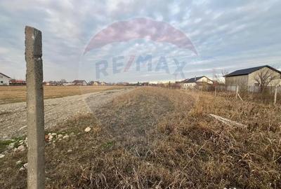 Teren de 4672 mp, în Câmpineanca - 3