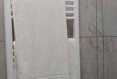 Garsonieră decomandată în Nord - 10