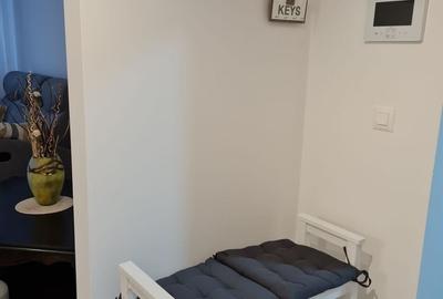 Apartament cu 3 camere semidecomandat, mobilat în Theodor Pallady - 11