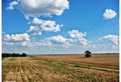 Spațiu comercial, în Frumușani - 3