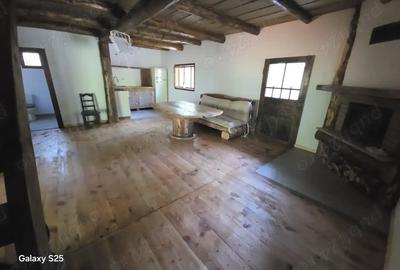 Cabana tradi?ionala - 1