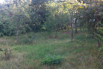 Teren in livada Curtesti - 1