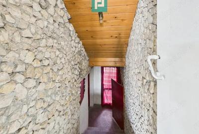 Proprietate multifunctionala central Arad - 12