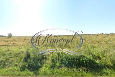 Teren intravilan in Salicea - 1