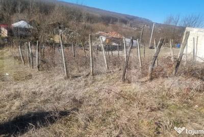 Casă cu 3 camere cu Teren 2000 Mp în Iordăcheanu - 1