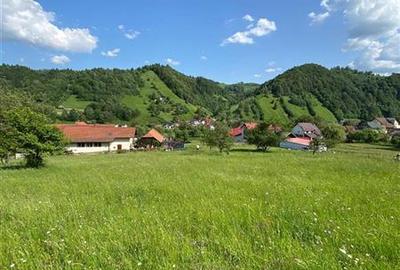 Teren Construcții intravilan de 1449 mp, în Moieciu de Jos - 4