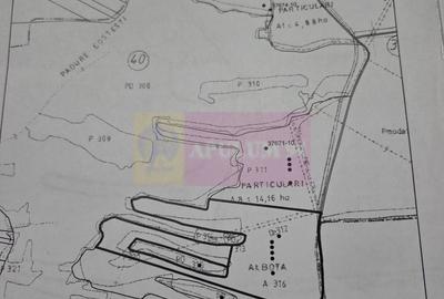 Teren de 94000 mp, în Bradu - 9