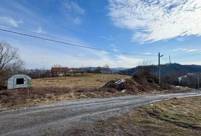 Teren de 500 mp, în Central