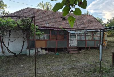 Casă cu Teren 800 Mp în Dăbâca - 3