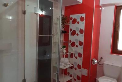 Apartament cu 2 camere decomandat în Valu lui Traian - 9