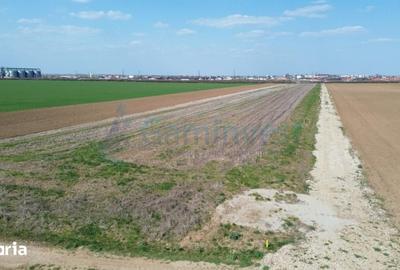 Teren de 500 mp, în Sântandrei - 5