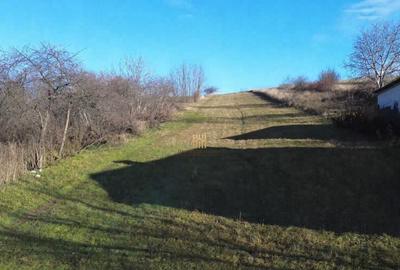 Teren Intravilan 2460 mp Suceava De 0727817187 - 11