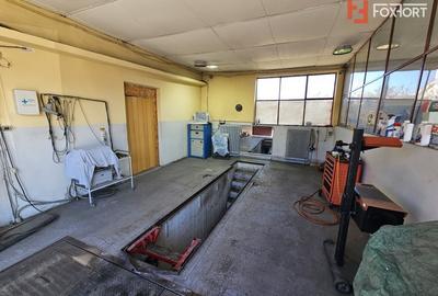 Casă individuală cu 5 camere cu Teren 937 Mp în Bogdăneștilor - 45