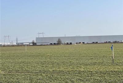 Teren de 4300 mp, în Chiajna - 6