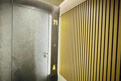 Apartament cu 3 camere decomandat în Barbu Văcărescu - 17
