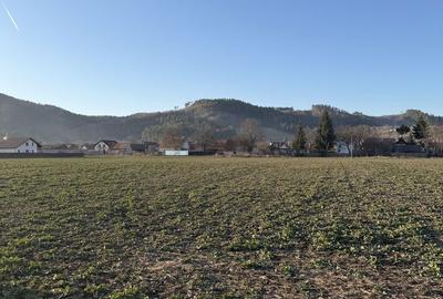 Spațiu comercial, în Central - 4