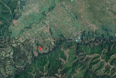 Teren de 3700 mp, în Dalboșeț - 3