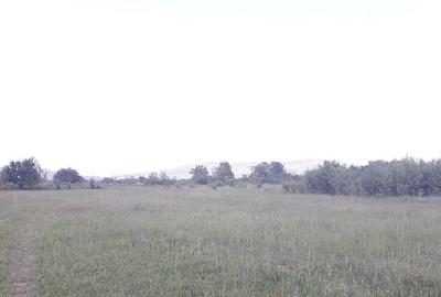 Teren de 2557 mp, în Iazu - 2