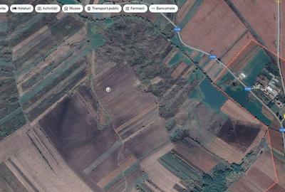 Teren extravilan arabil Ardeoani, ID: R1983077 - 5