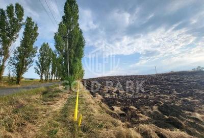Teren Intravilan- Tureni- Zona Industriala