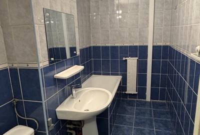 Stirbei Voda vis a vis Judecatoria sector 6 - ultracentral - 9