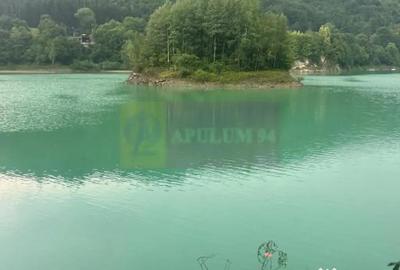 Teren în Valea Doftanei - 6