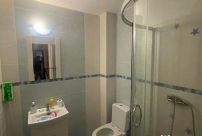 Apartament cu 3 camere decomandat, mobilat în Valea Borcutului - 6