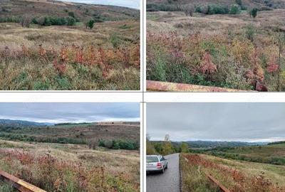 Teren extravilan pasune Ardeoani, ID: R2404613 - 4