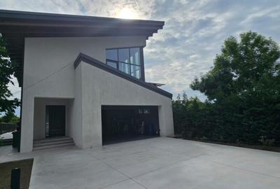 Vila concept modern -proiect industrial - 5