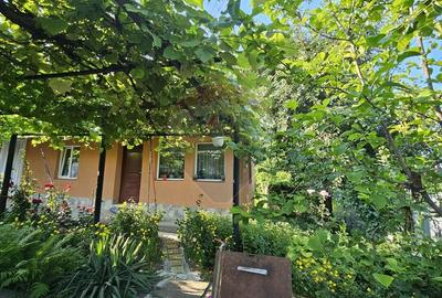 Casă individuală cu 4 camere cu Teren 1043 Mp în Dochia - 30