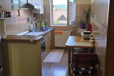 Apartament cu 2 camere decomandat în Lazaret - 6