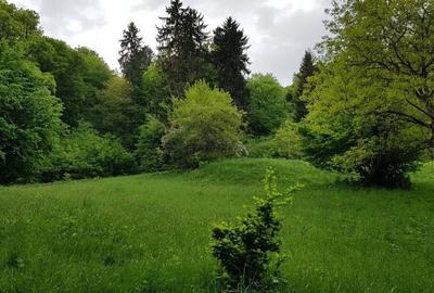 Casă cu 4 camere în Angofa - 4