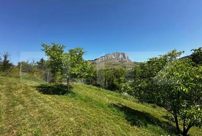 Teren de 1800 mp, în Vălișoara