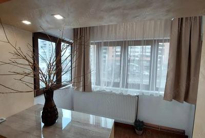 Garsoniera PREMIUM, Ultracentral, langa Parcul Catedralei - 10